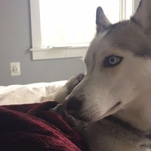 Meet your Posher, Meg